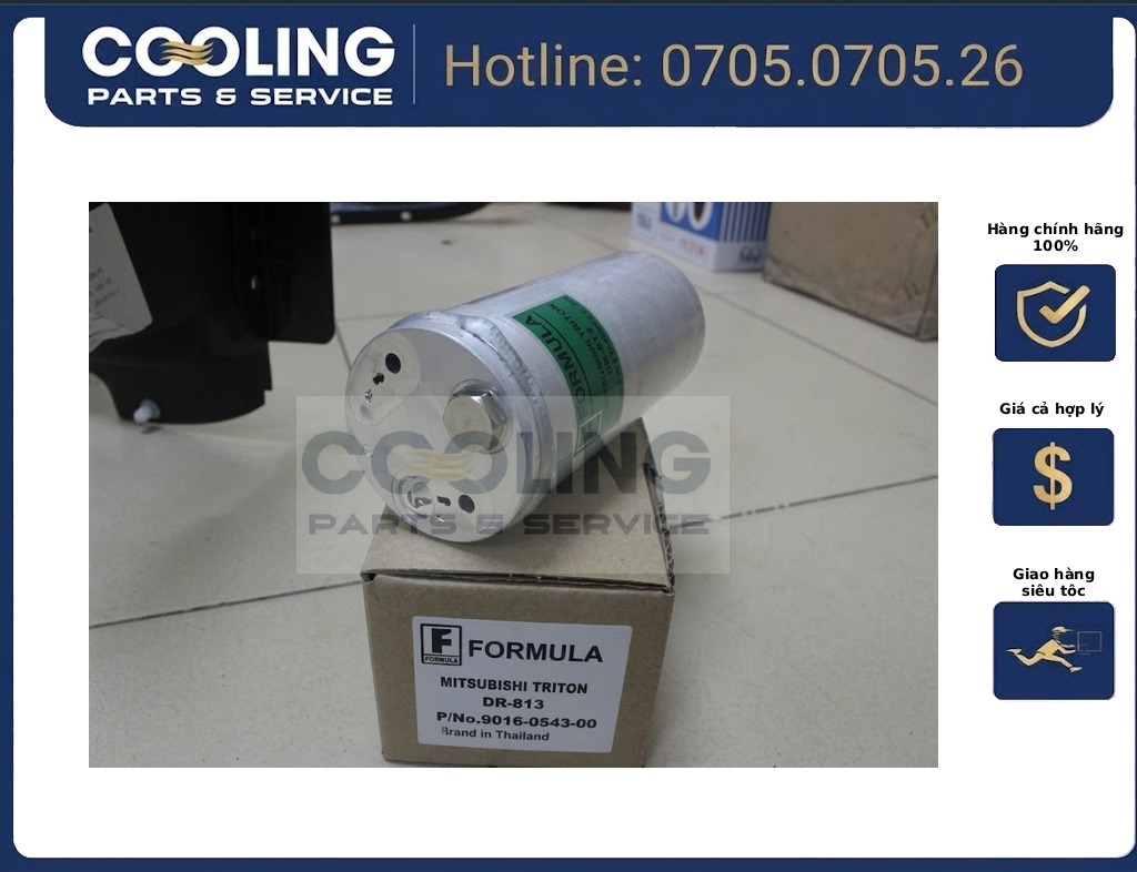 Phin lọc gas Triton 2005-2009 DR813