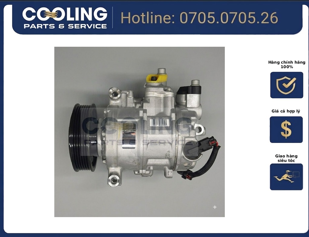 Lốc điều hòa Polo 6RD820803