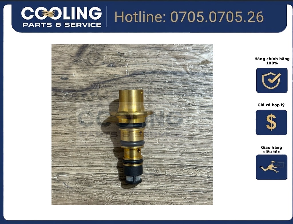 Dàn lạnh EcoSport 2018-2020 GN1119D710AA