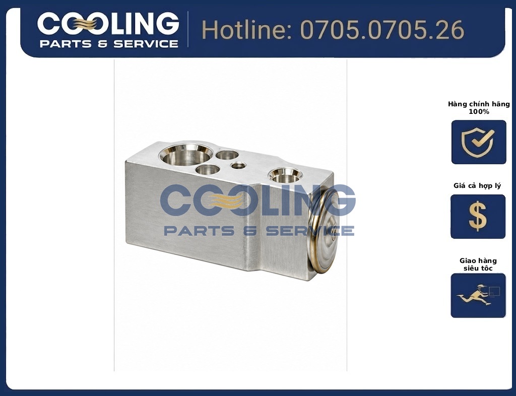 Van tiết lưu Triton VHE10QTEX3